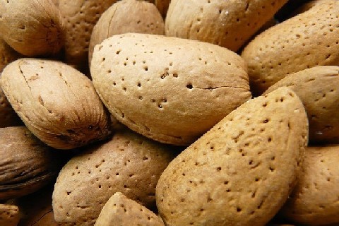 Almonds in Shell